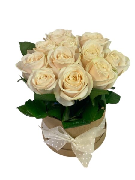 Flower box beli