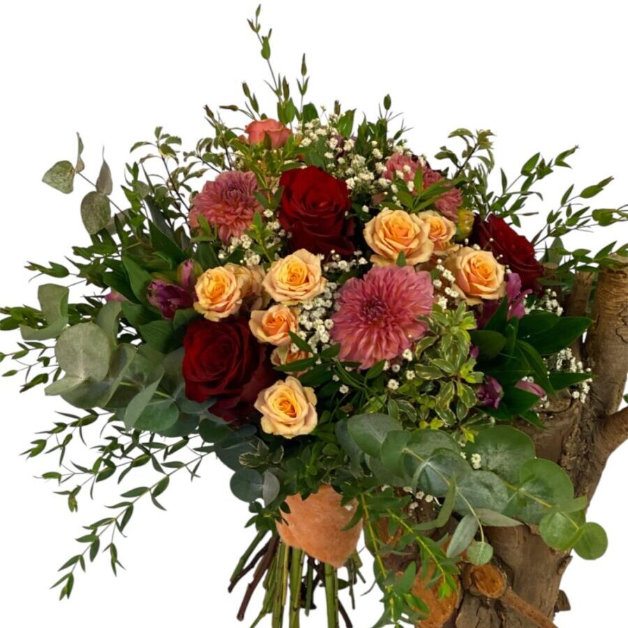 Florentina Florentina